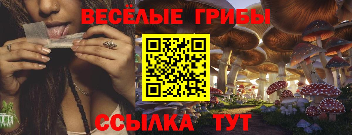 Галлюциногенные грибы MAGIC MUSHROOMS  Вход с VPN  Пенза 